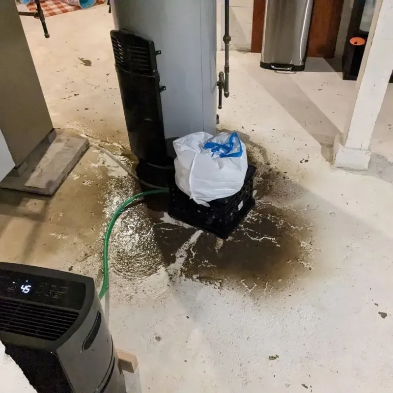 Sewage Backup Cleanup Service in Fruit Hill, OH
